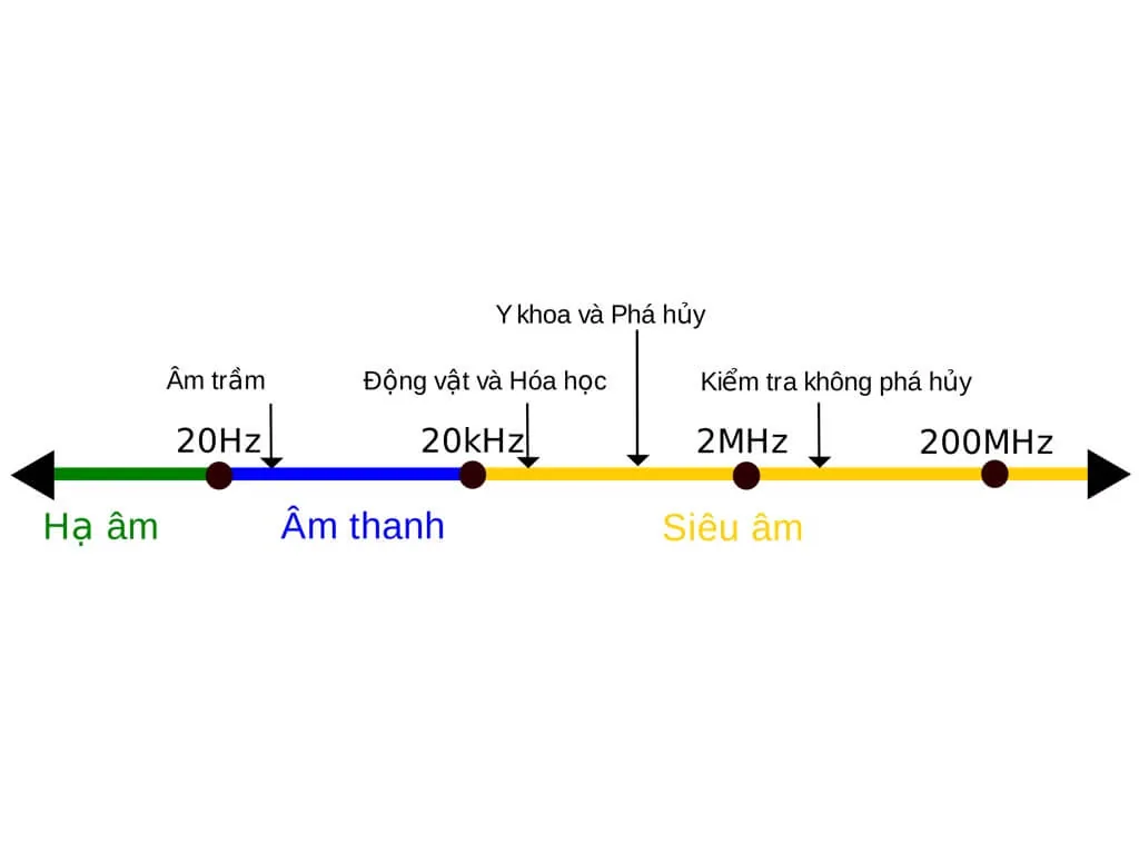 Siêu âm là gì?